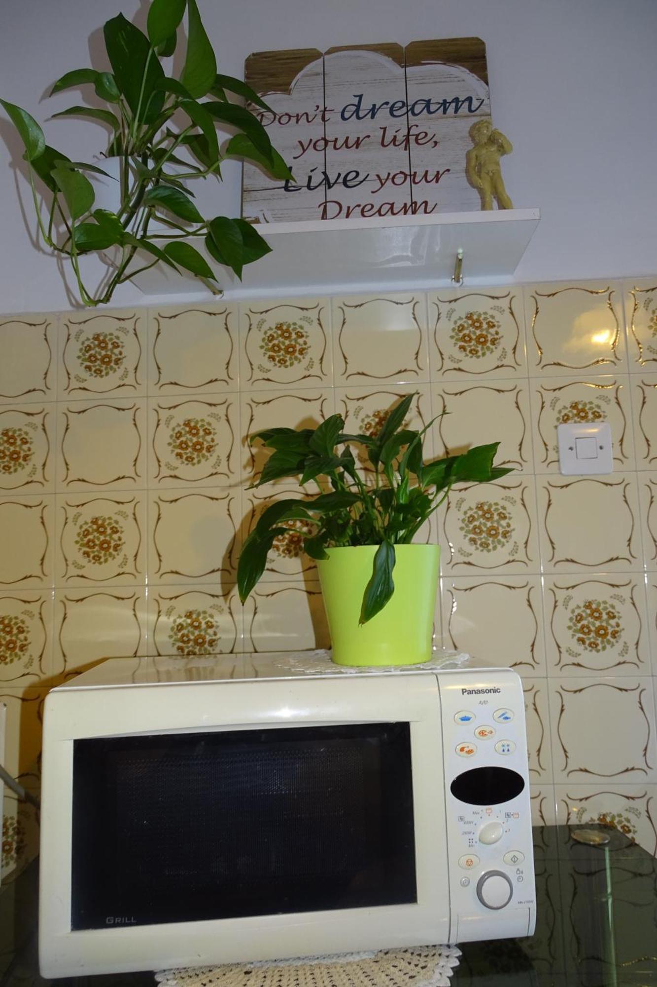 Apartment Parenzana Bibali 65 A 52460-布耶 外观 照片